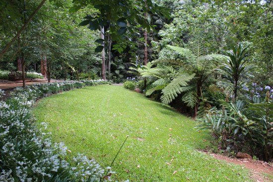 Tamborine Mountain Botanic Gardens